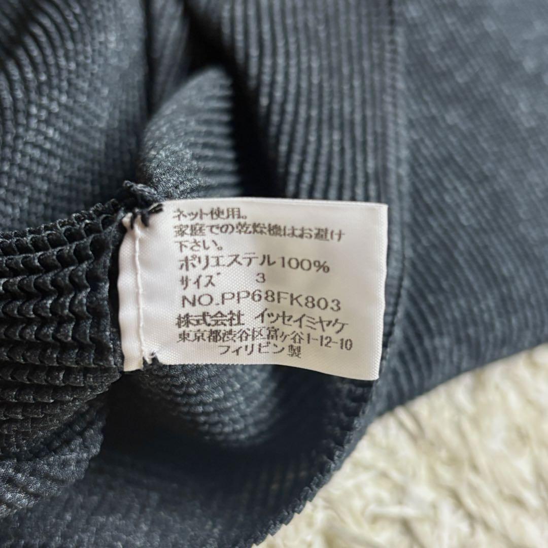 【極美品】イッセイミヤケ PLEATS(T.) ハイネック Lサイズ カットソー