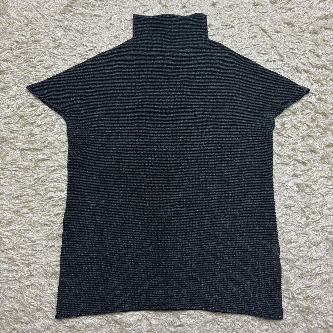 【極美品】イッセイミヤケ PLEATS(T.) ハイネック Lサイズ カットソー