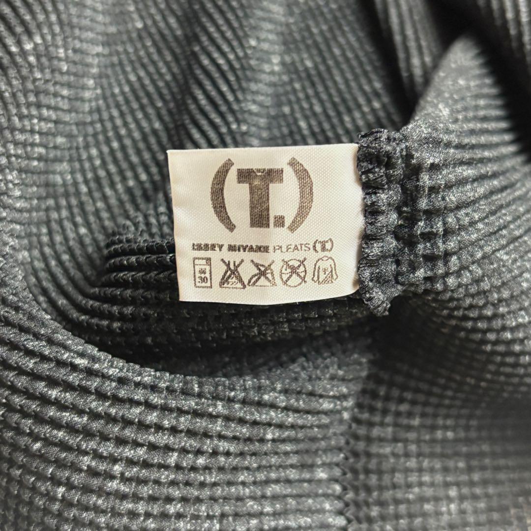 【極美品】イッセイミヤケ PLEATS(T.) ハイネック Lサイズ カットソー
