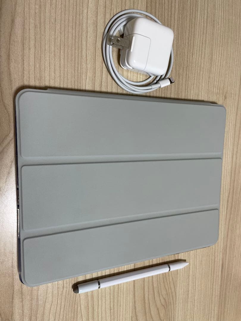 IPad Pro 9.7 インチ A1673 MM1A2JA 256GB