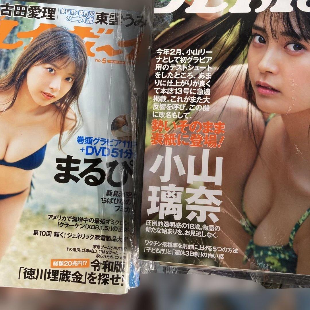 週刊プレイボーイ　19冊 まとめ売り