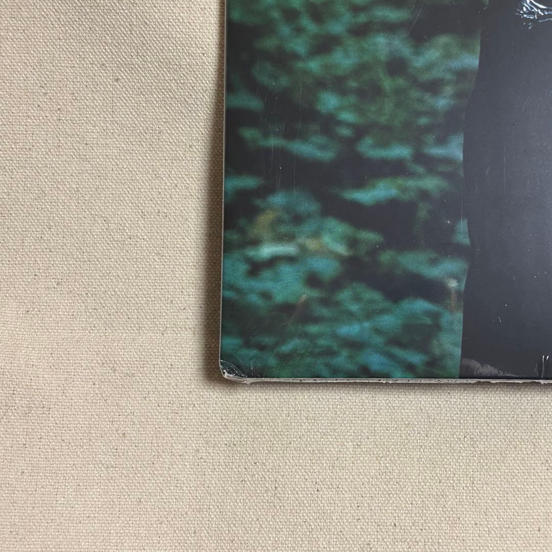 Not for radio レコード 直筆サイン入り　the marias