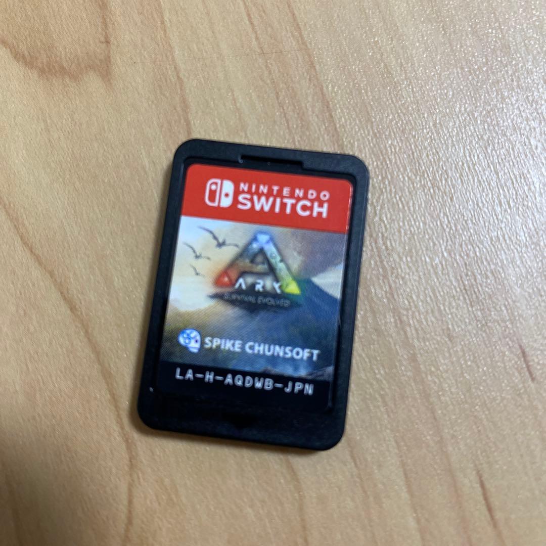 マリオカート8 デラックス & Switch ARK アーク2本セット