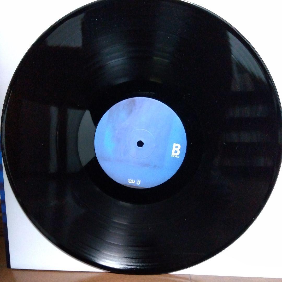 BLOOD RED SHOES Fire Like This LPレコード