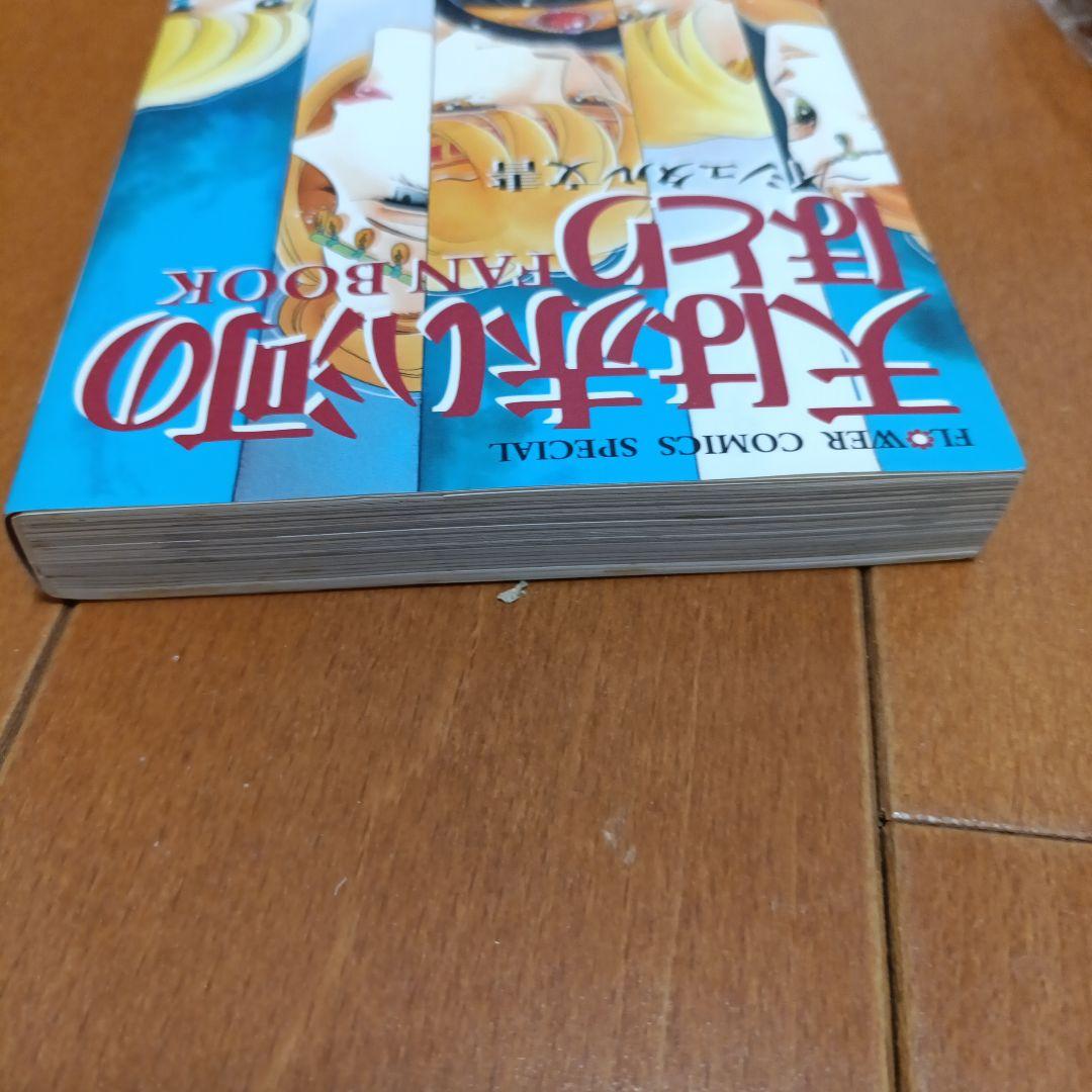 天は赤い河のほとり 全巻セット 1-28巻＋FANBOOKイシュタル文庫
