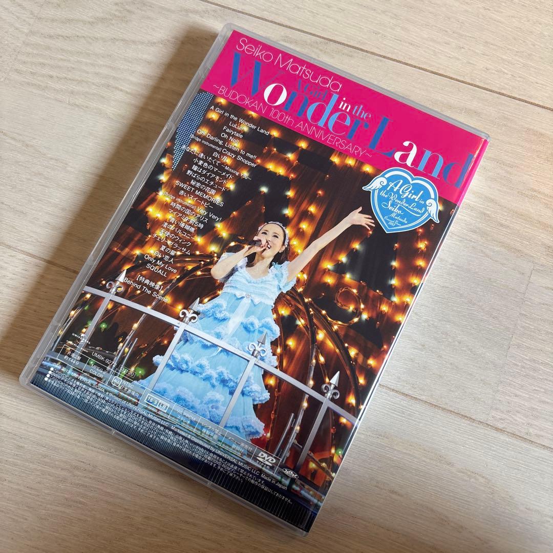 【松田聖子】Concert Tour2013 DVD トートバッグ　フォトブック