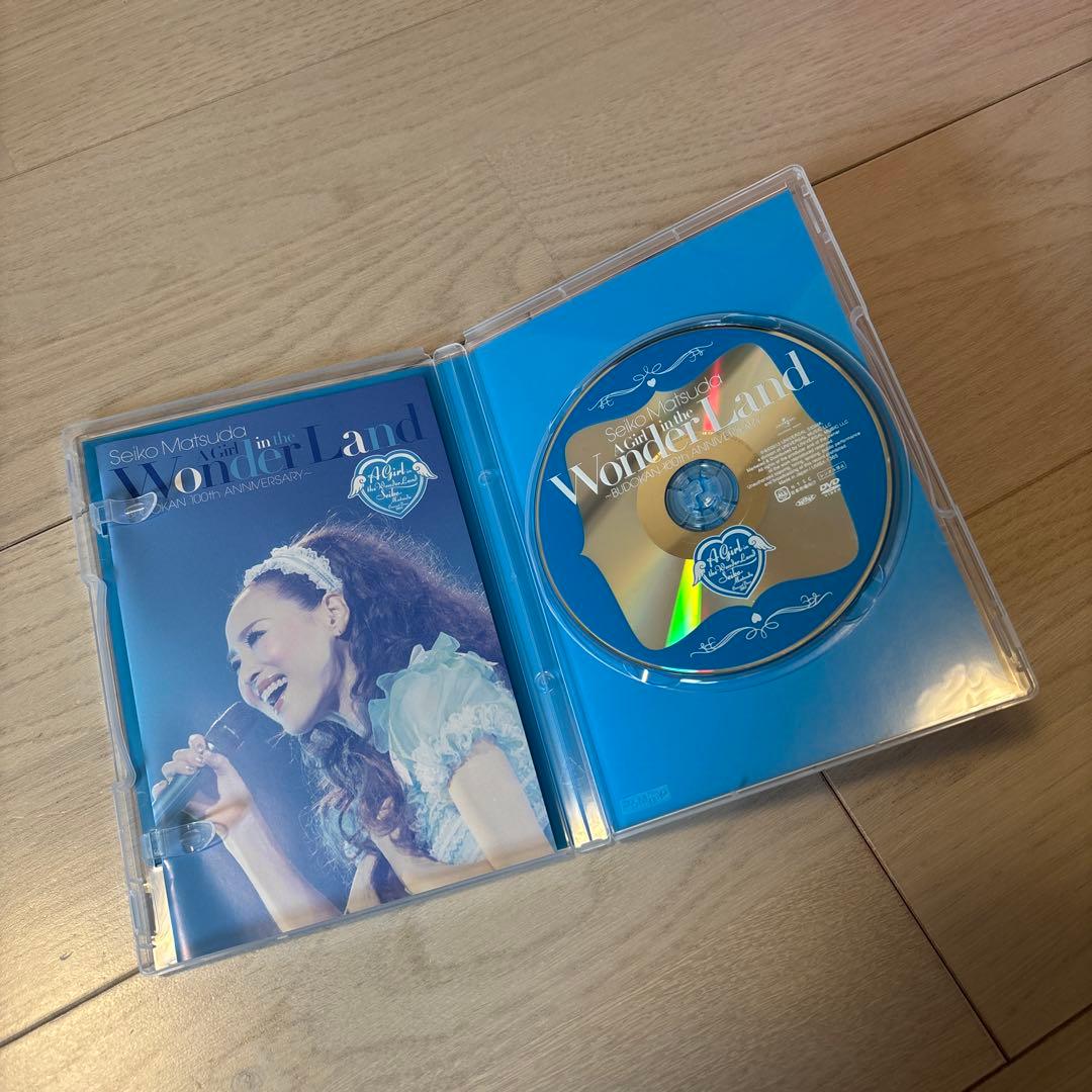 【松田聖子】Concert Tour2013 DVD トートバッグ　フォトブック