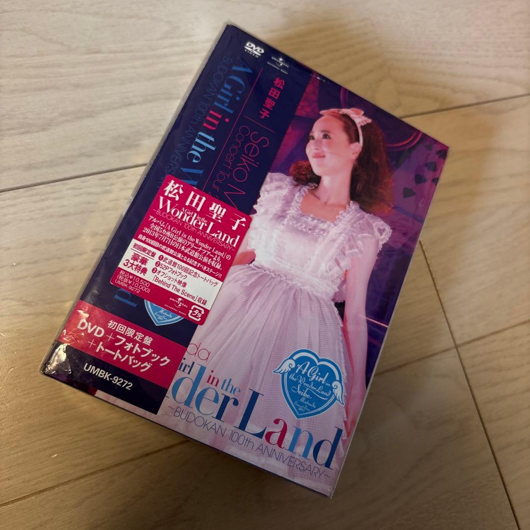 【松田聖子】Concert Tour2013 DVD トートバッグ　フォトブック