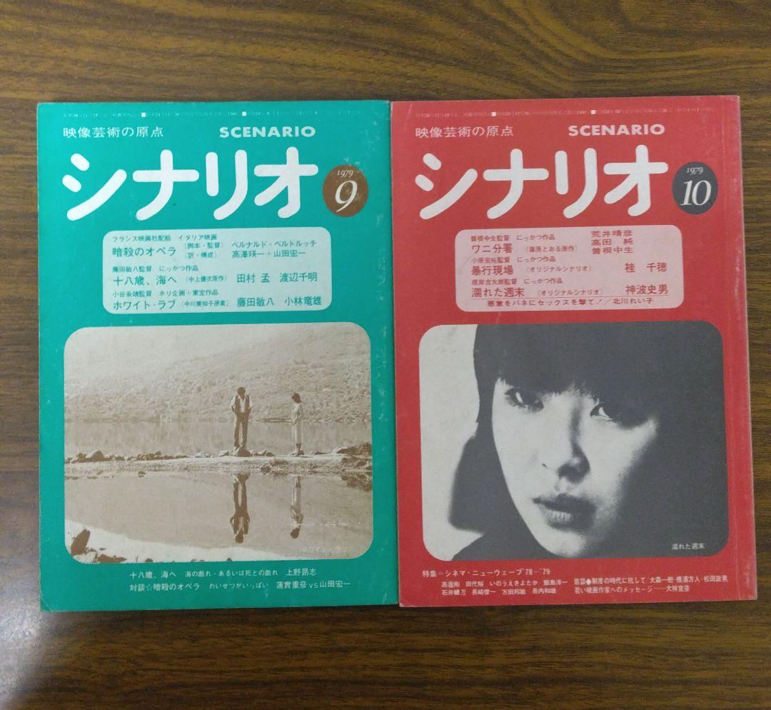 月刊 シナリオ 1979年 全12冊