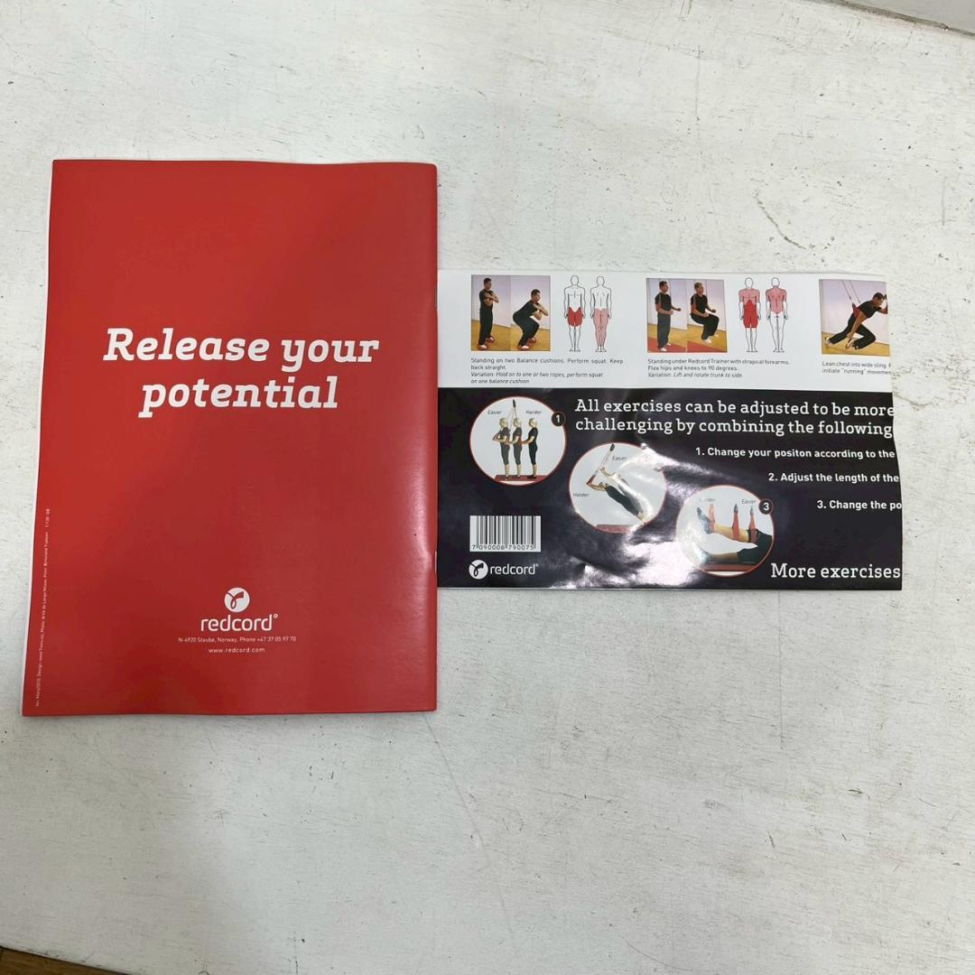 【 美品 】 説明書付き レッドコード・トレーナー Redcord スリング
