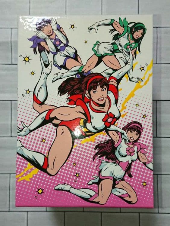 「ももクロChan DVD-Momoiro Clover Channel-」