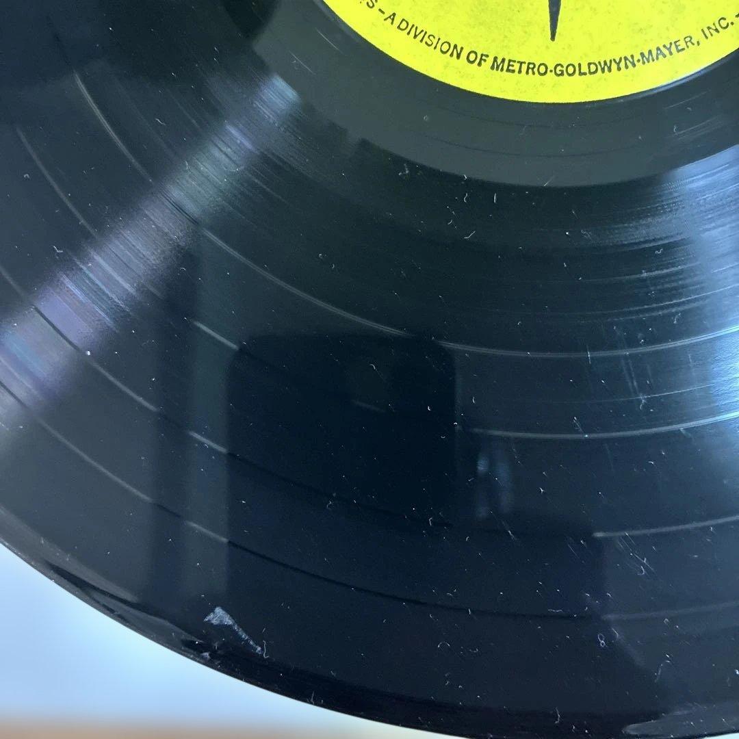 ニコ 名盤 レコード チェルシーガール USオリジナルモノ盤