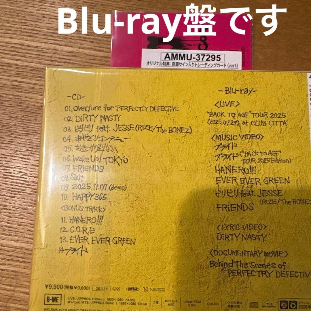 邦楽 Novel Core PERFECTLY DEFECTIVE