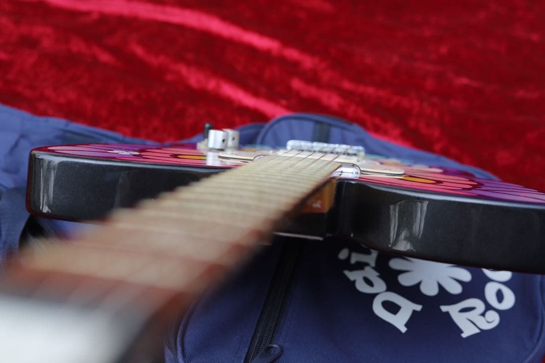 メンテ済 一部難有 DAISY ROCK Girl Guitars バタフライ