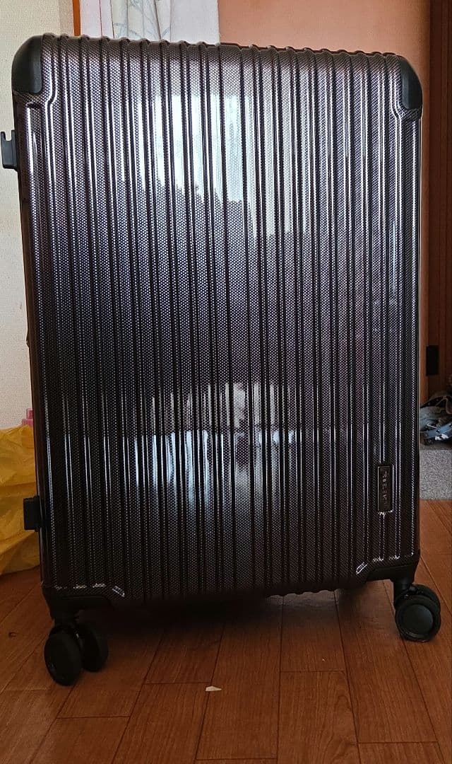 大型キャリーバッグ