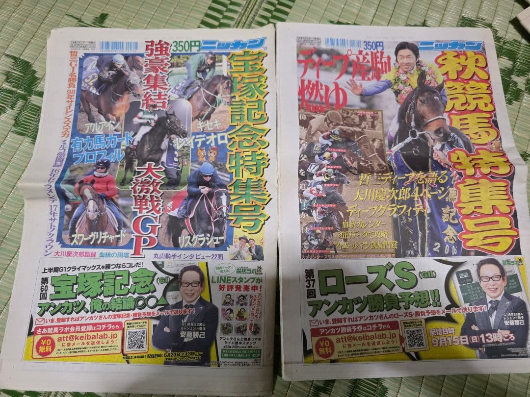 競馬特集号 G1レース特集号2019