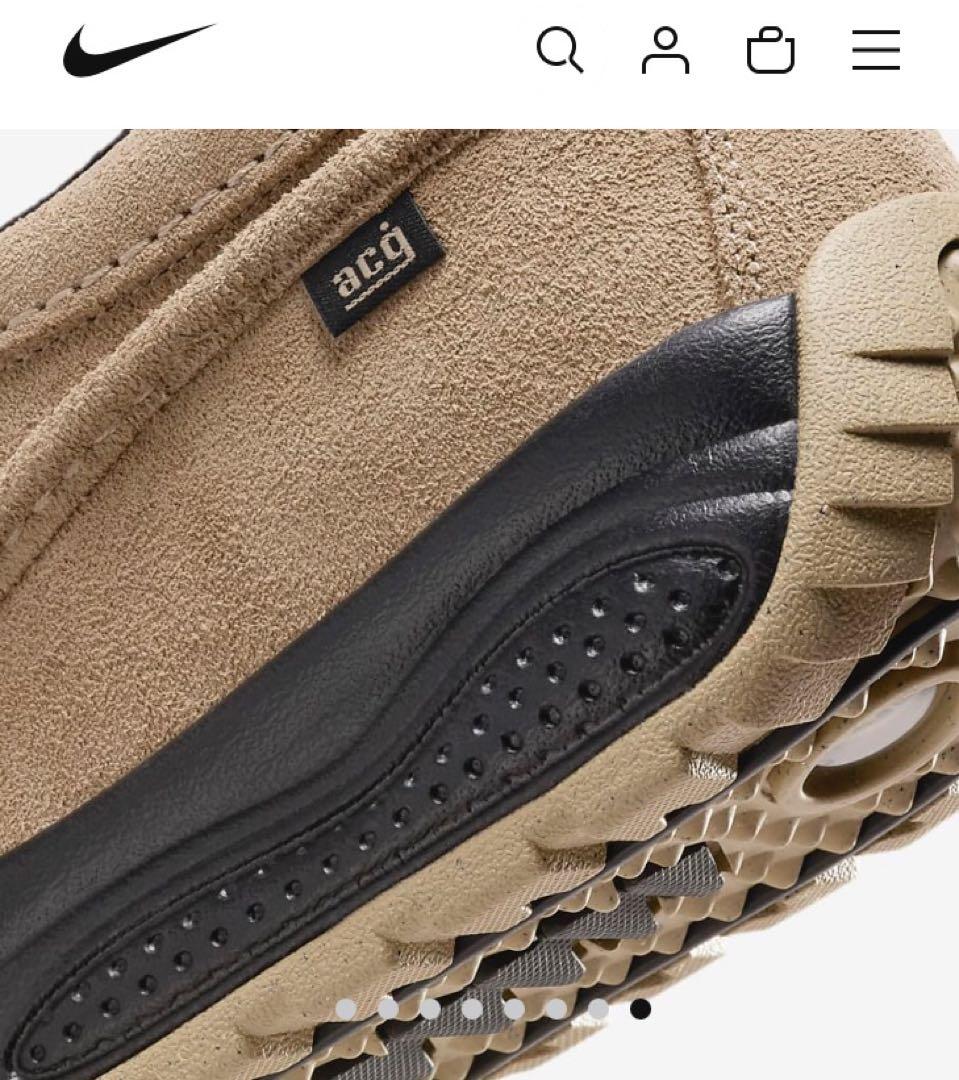 NIKE acg IZY アイジー