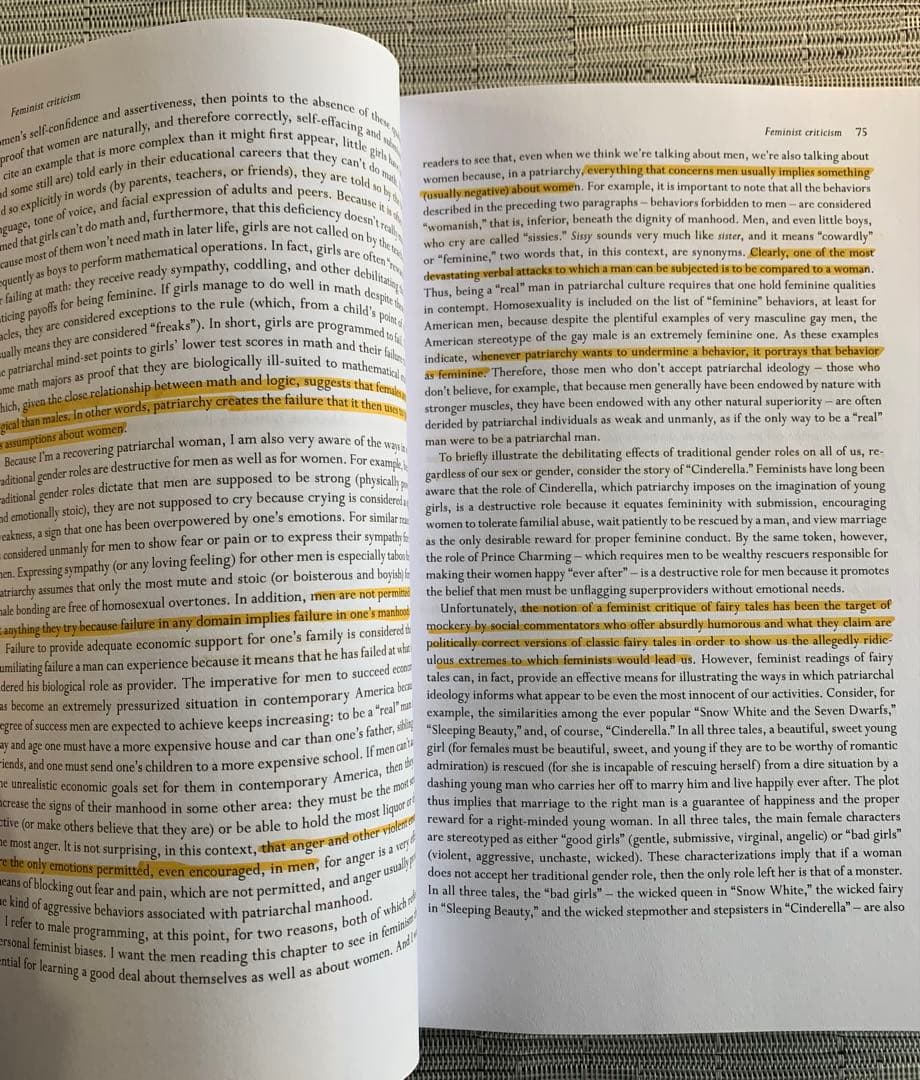Critical Theory Today Lois Tyson 英文学分析