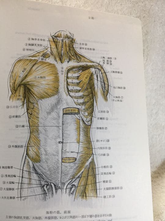 ドーランド図説医学大辞典 医学 辞典 ドーランド 図説