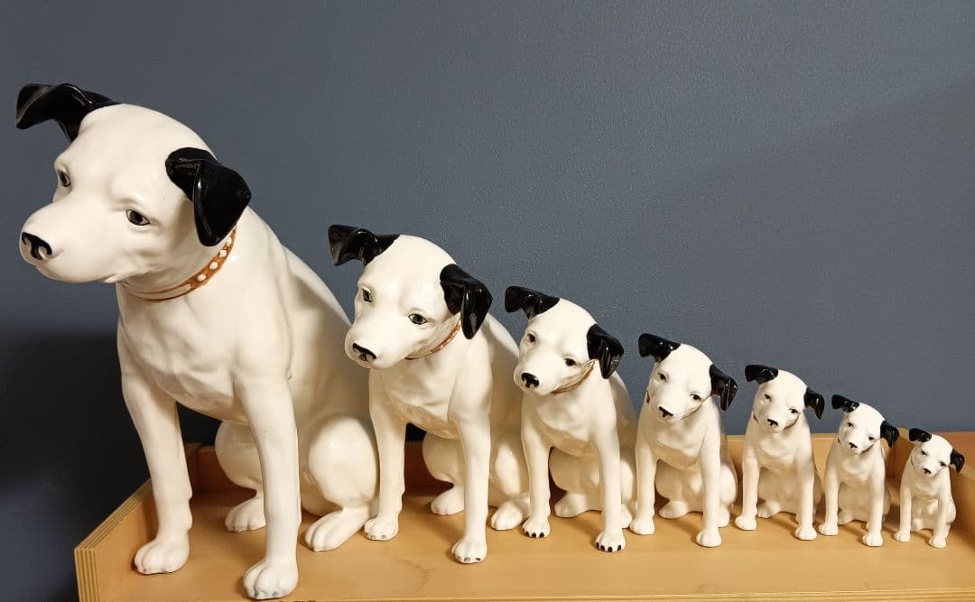ビクター ニッパー犬 ニッパー　特大44cm～ 7匹 手渡し希望 千葉県習志野市