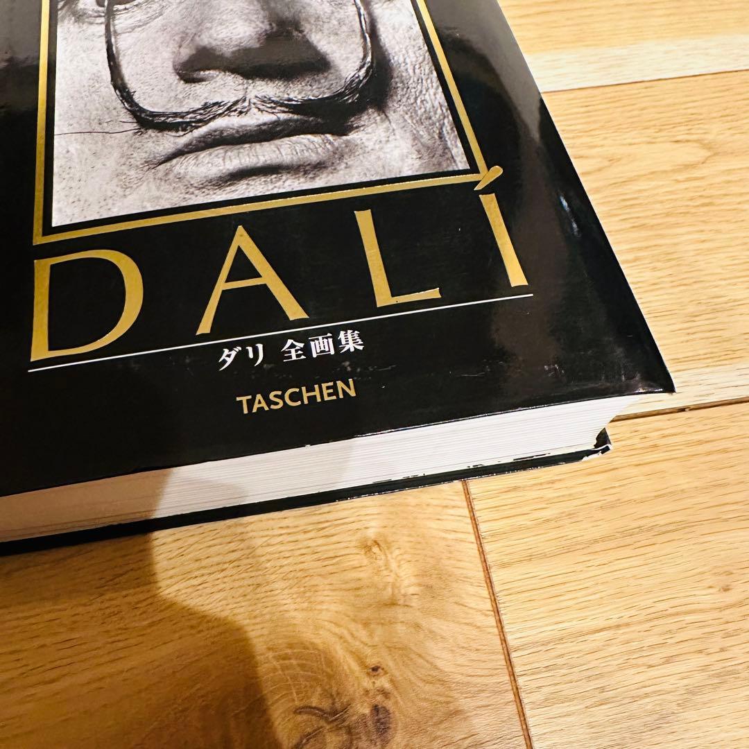 ダリ 全画集 美品