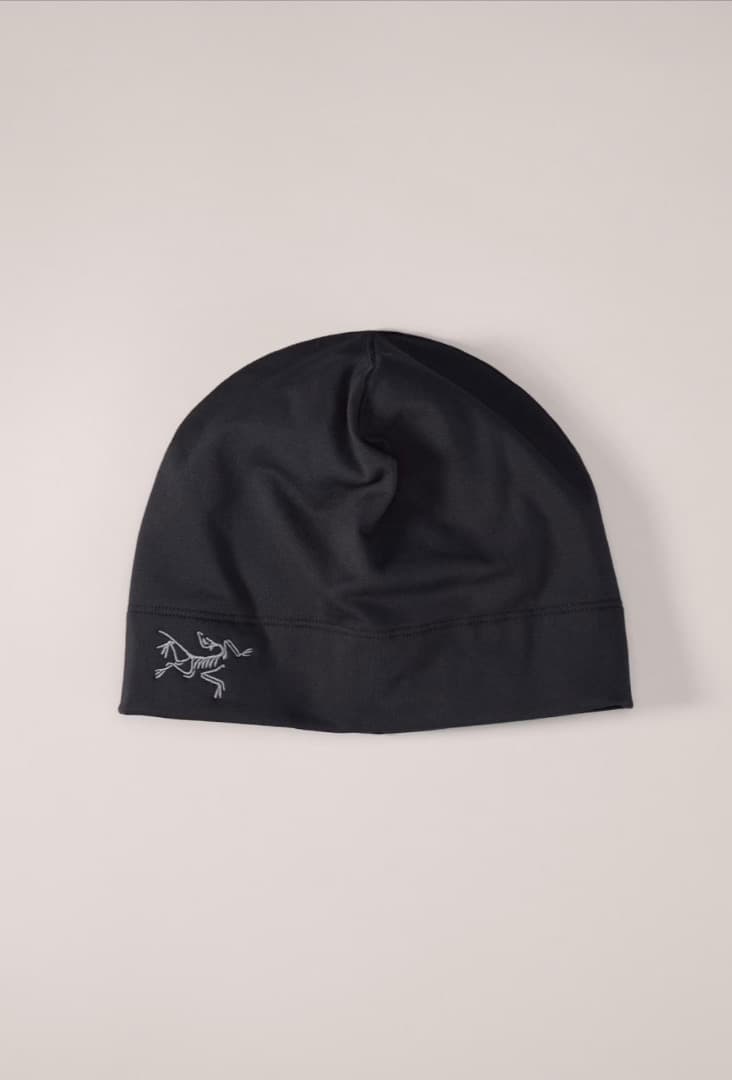 新品 完売レア Arc’teryx アークテリクス ロートーク L-XL