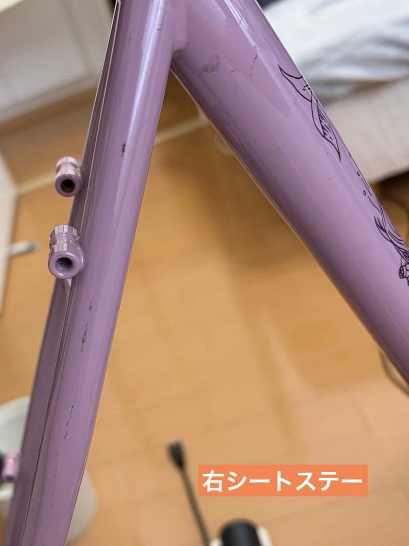 Crust Bikes Bombora ENVE M GRX810 完成車
