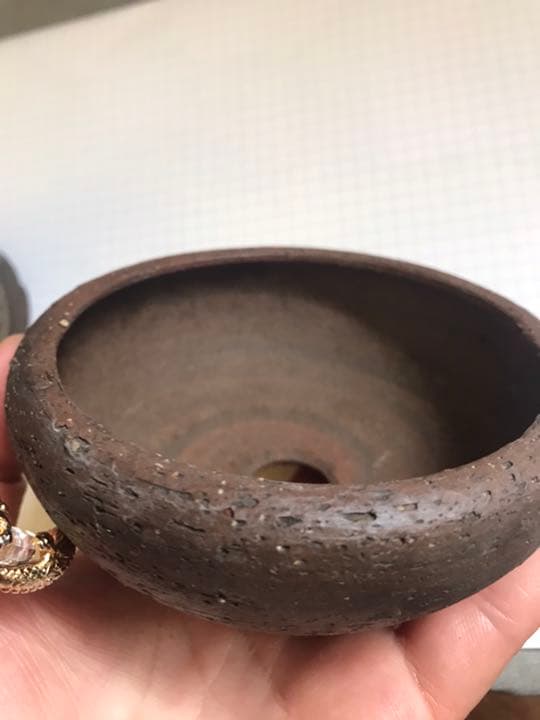 盆栽鉢　希少時代小品盆栽鉢ミニ盆栽鉢作家鉢＆光泉鉢山野草多肉植物サボテン