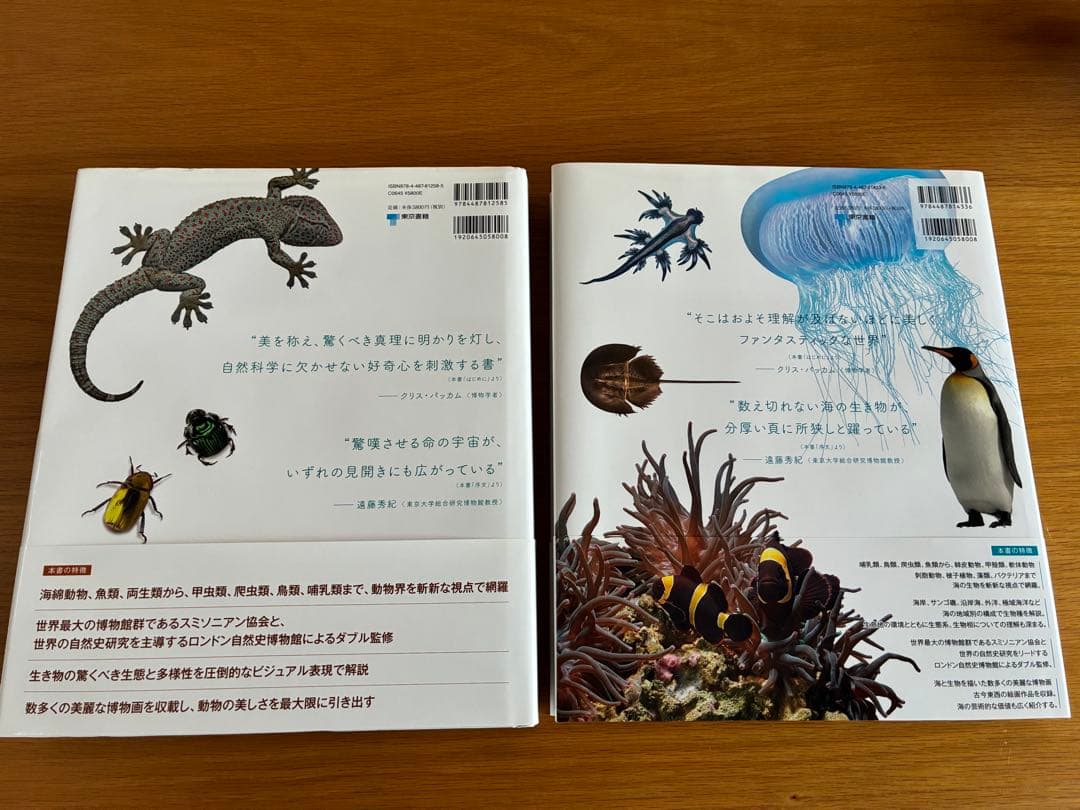 ZOOLOGY 図鑑　海の生物　動物の世界　2冊セット　帯付き　美品
