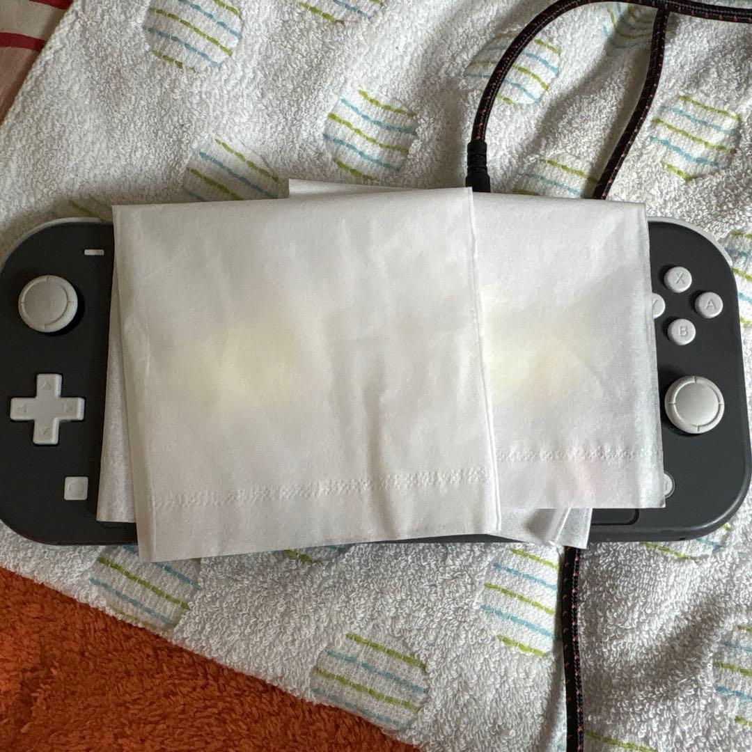 Nintendo Switch Lite グレー 本体　箱無し