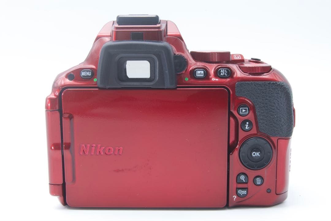 人気機種】Nikon D5500 希少カラー　レンズキットデジタル一眼レフ　美品
