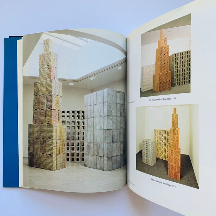 トニー・クラッグ　Tony Cragg : Signs of Life