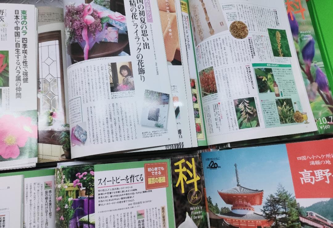 週刊花百科 全8巻80冊 講談社