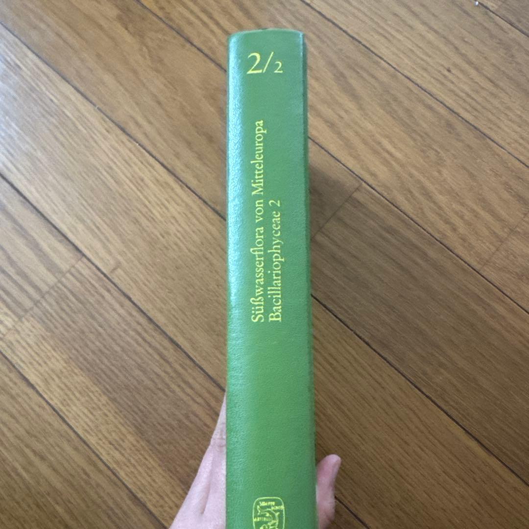 Süßwasserflora von Mitteleuropa 2/2