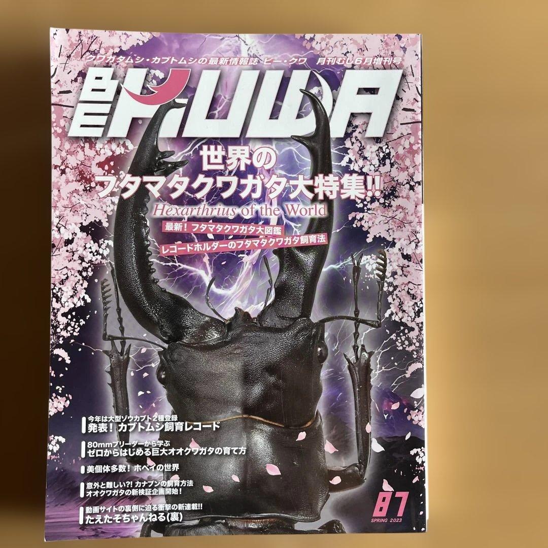 BE KUWA ビークワ　80〜89巻 10冊セット