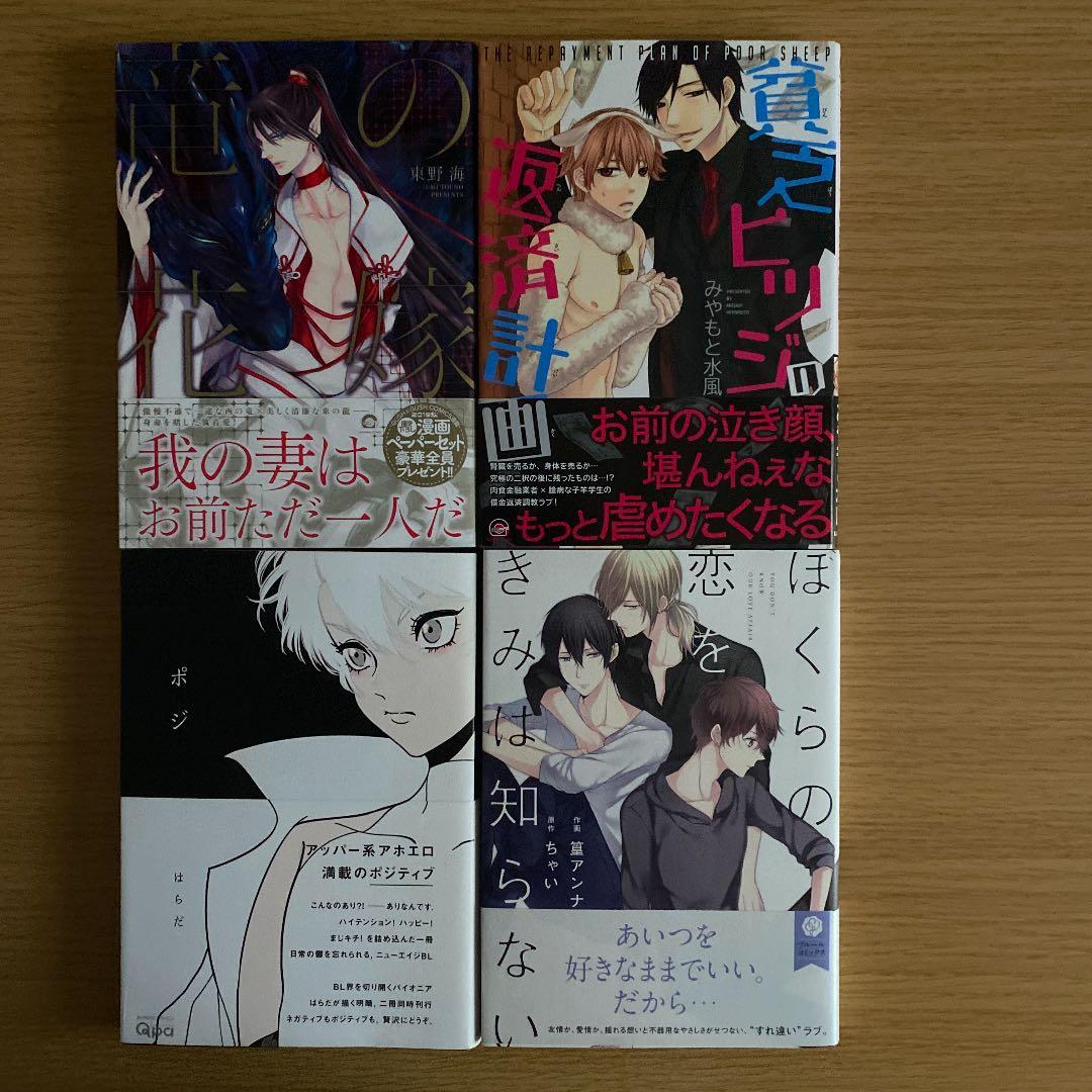 BL本　まとめ⑦  1冊250円
