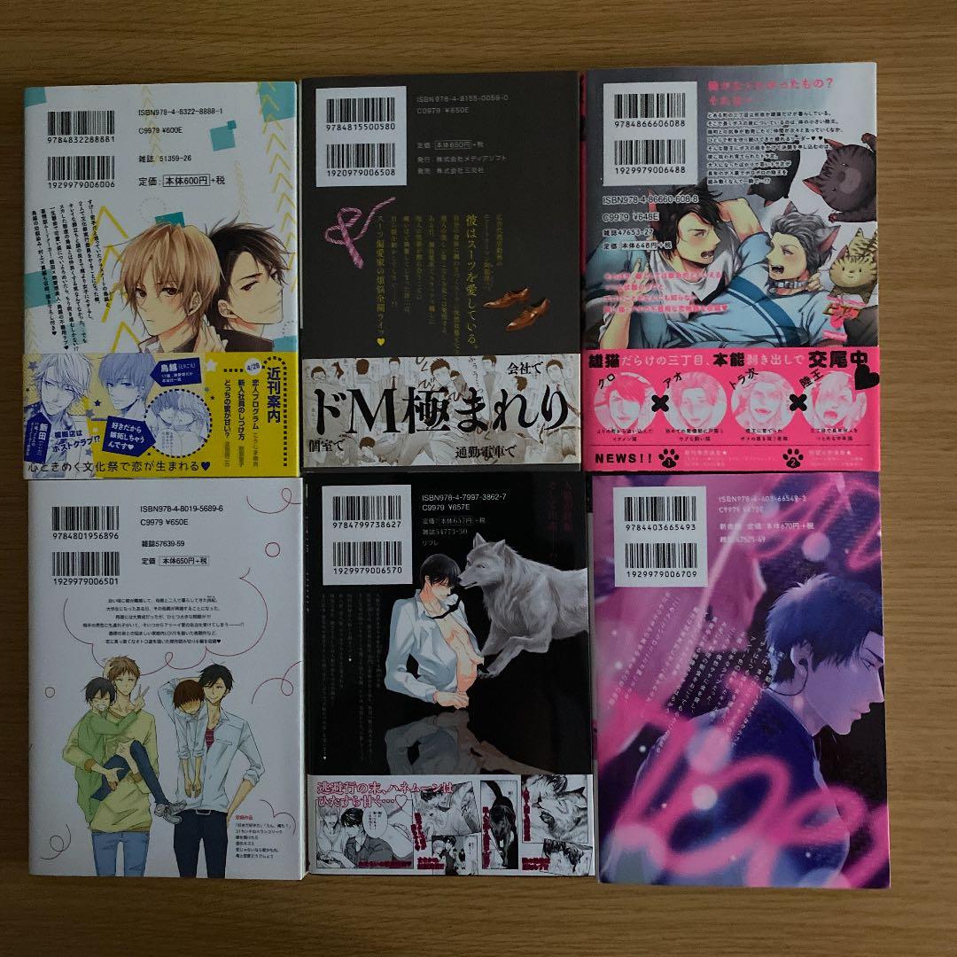 BL本　まとめ⑦  1冊250円