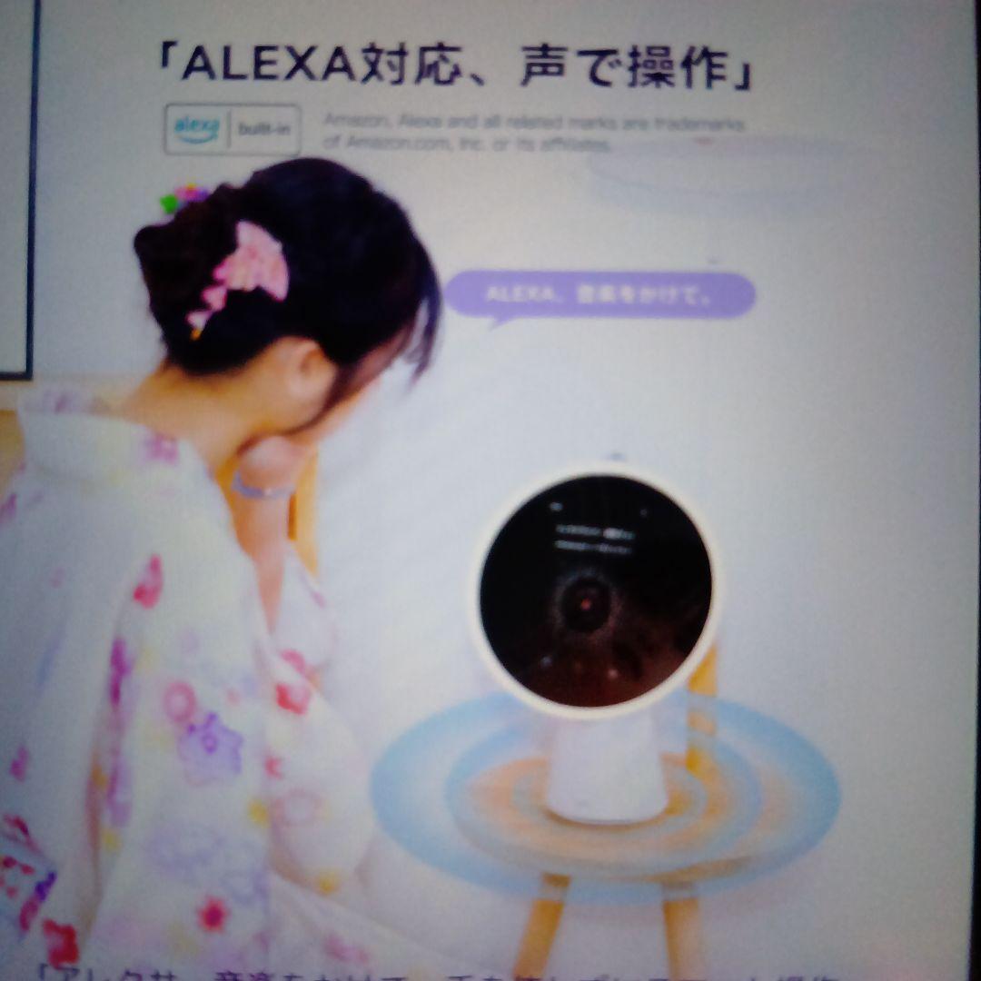肌診断ミラー