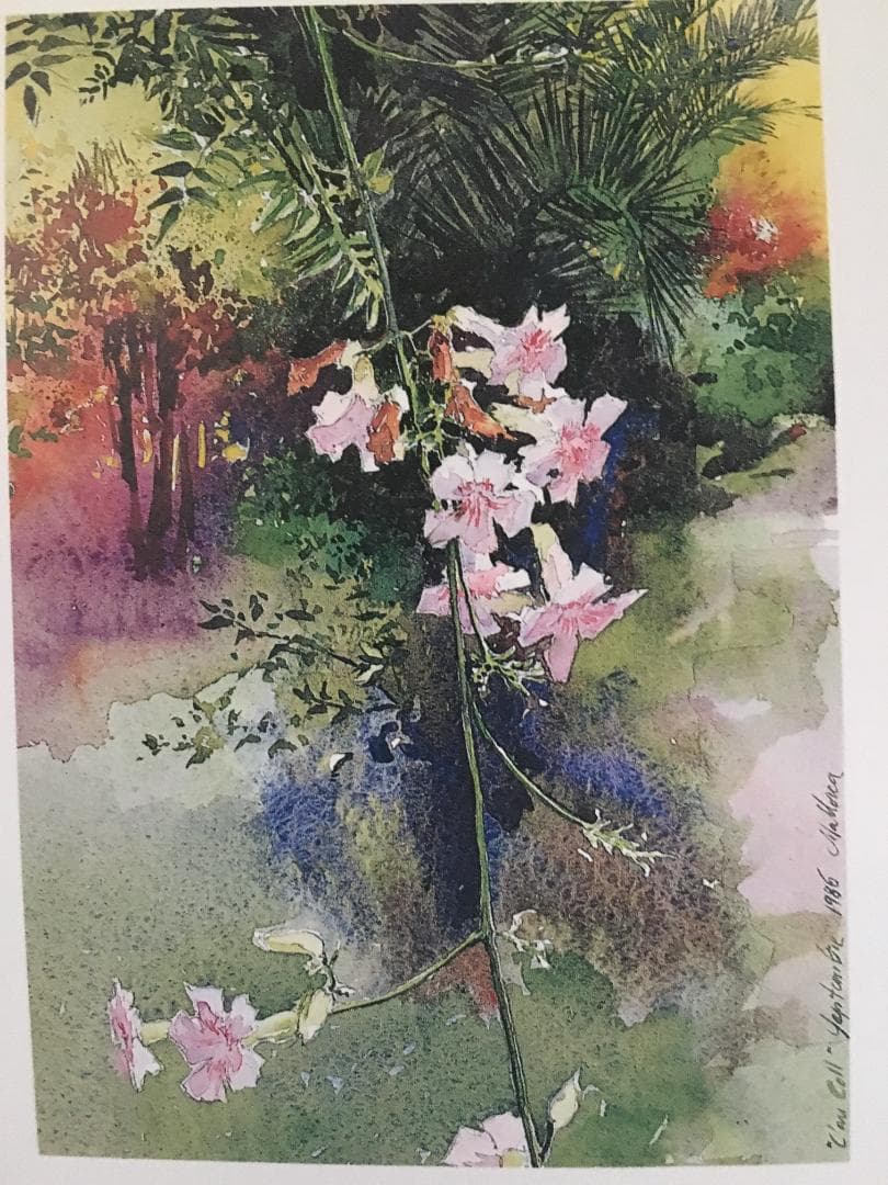 J.トレンツ・リャド 画集