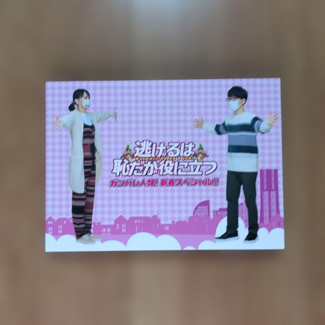 逃げるは恥だが役に立つ DVD BOX コンプリートセット