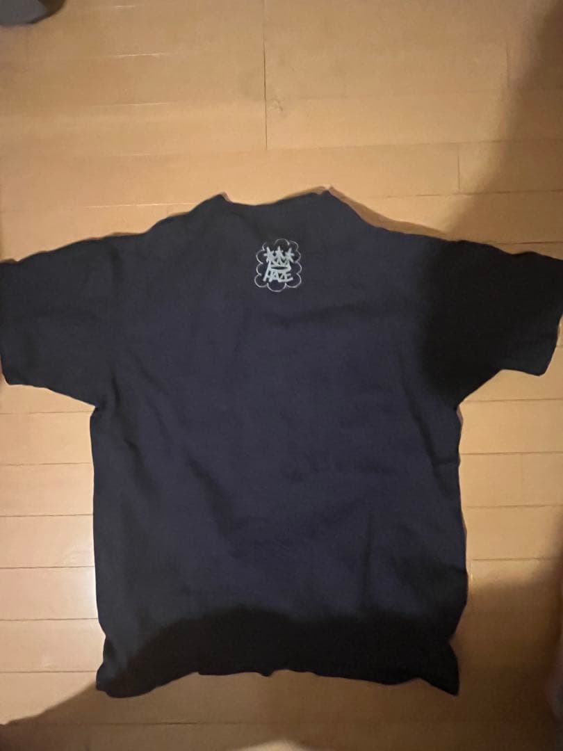 old stussy haze コラボ　入手困難　tシャツ