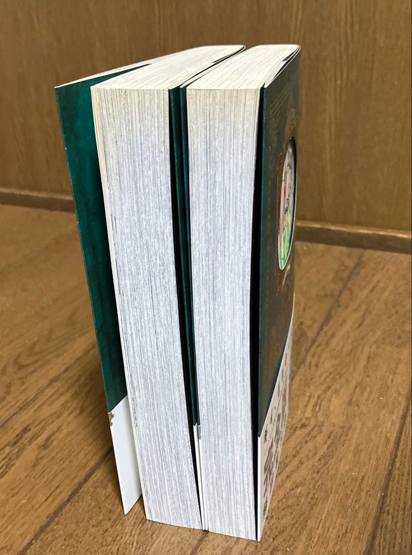 【初版、帯付き】からくりサーカス 完全版 25、26巻