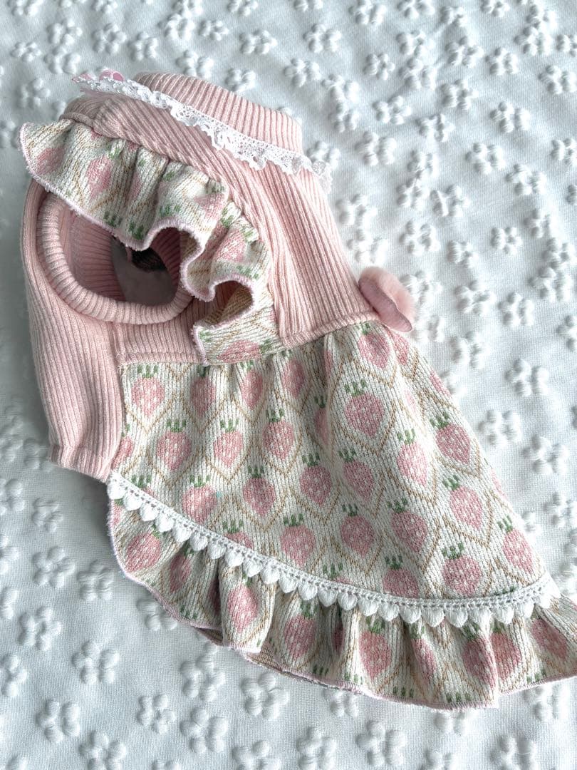 犬服ハンドメイド ワンピース　らな様