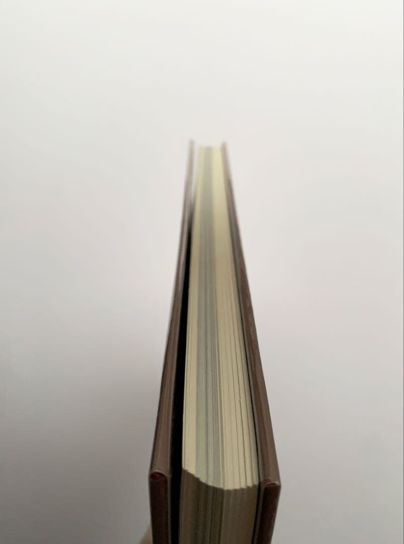 11/16販売終了【洋書古書】 Helmut SALDEN