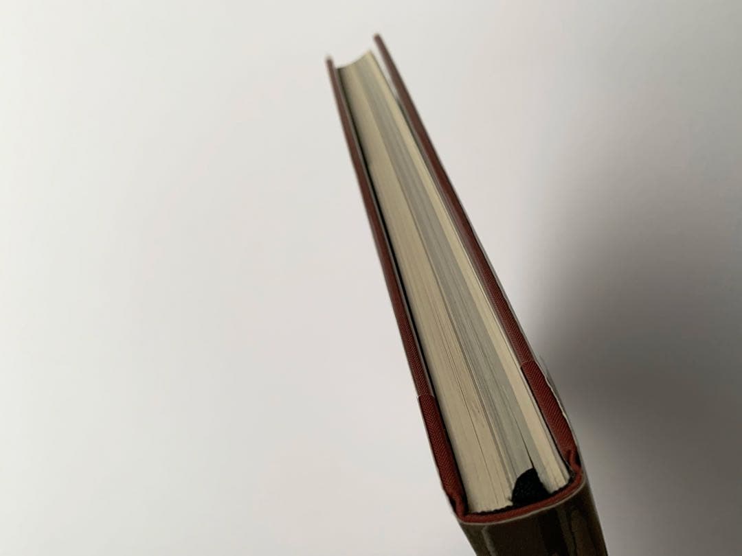 11/16販売終了【洋書古書】 Helmut SALDEN