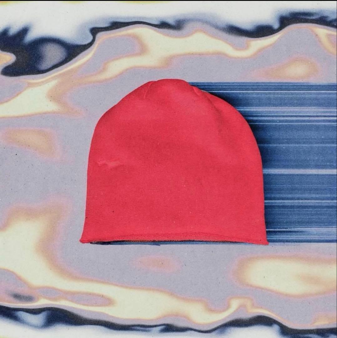 帽子 skylrk beanie