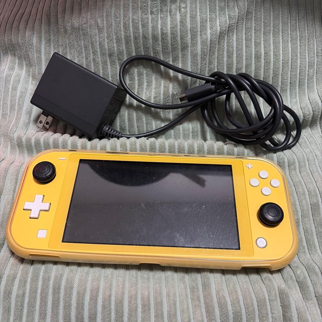 SwitchLiteと付属品▶︎本体カバー、スティックキャップ、充電器、イヤホン