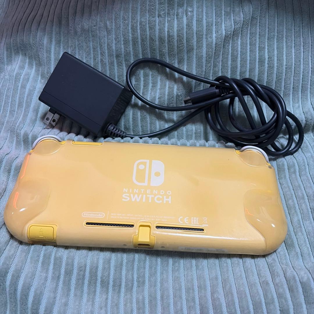 SwitchLiteと付属品▶︎本体カバー、スティックキャップ、充電器、イヤホン