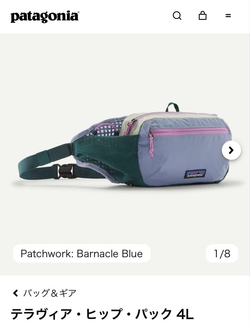 最終値下美品patagonia テラビア・ヒップ・パック 4L バーナクルブルー