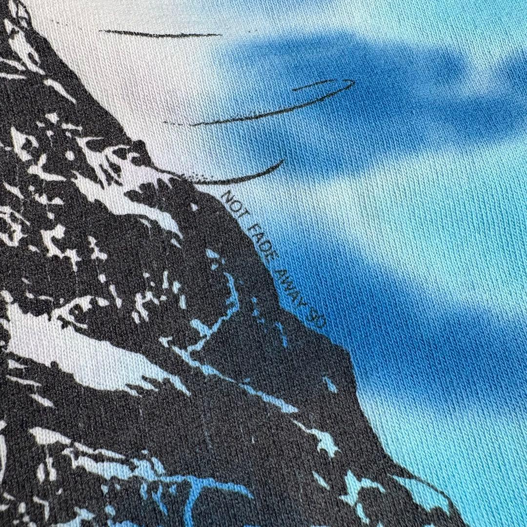 f*i様 90s USA製 GratefulDead skullski タイダイ